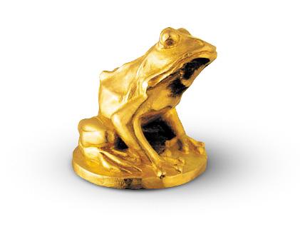 L'agenda de Camerimage