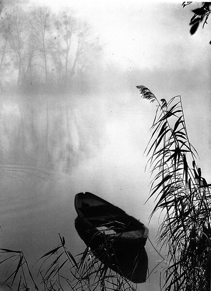 La barque et les roseaux - Photo Lucien Legras