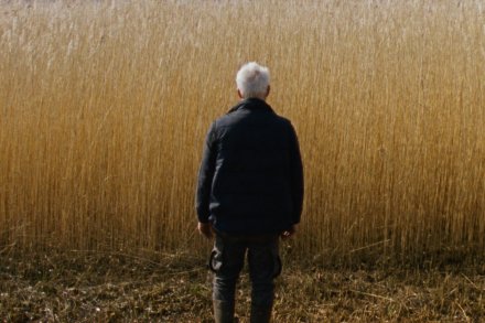 Sam du Pon, NSC, talks about his technical choices to put into images Sven Bresser's "Rietland" "The Life of Johan", by François Reumont for the AFC