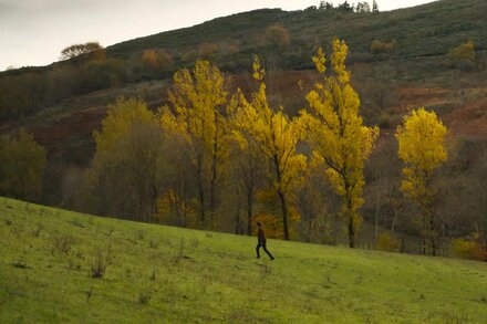 Claire Mathon, AFC, looks back at her choices in shooting Alain Guiraudie's "Miséricorde” By Céline Bozon, AFC, and Hélène de Roux