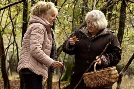 TSF à l'affiche et en tournage en octobre