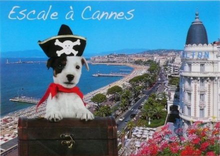 Le portfolio du jeudi 19 mai