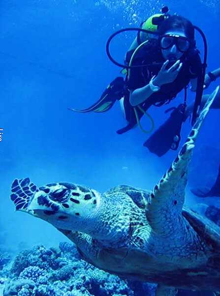 Syrine and the tortoise - Aqaba... Red Sea... Southernmost point of Jordan... Water temperature: 29°C... Depth: 11 m... Duration of the dive: 38 min... <i>(Gilles, July Friday 4)</i>