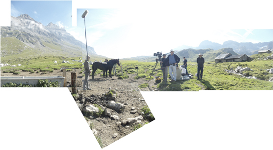 Le cheval - Mise en place à l'alpage