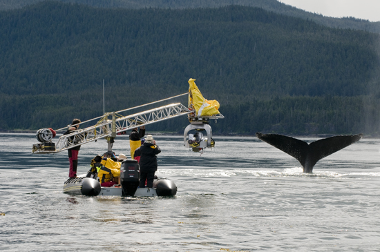 Arrimée sur un Zodiac, la tête stabilisée Thetys mise au point spécialement pour le tournage d'"Océans" - Photo François Sarano