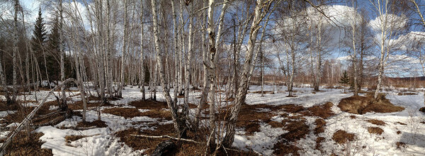Paysage pour un prince charmant - Raphaël aime les panoramiques, les bois de boulots et les tous petits nuages blancs beaucoup plus photogéniques qu'un grand ciel bleu ou qu'un ciel gris ou blanc ! Moi aussi ! <i>(Photo Raphaël Personnaz, comédien, vendredi 3 avril)</i>