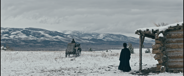Les plaines du Montana