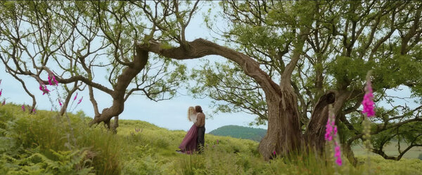 DP : Stijn Van Der Veken, ASC, SBC - Photogramme