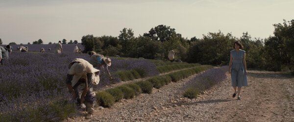 Marion Cotillard dans un champ de lavande - Photogramme