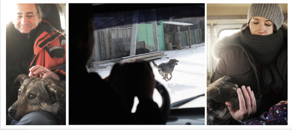 Rex makes a scene! - The dog of Samia, our driver, comes along with us every morning either by following or walking ahead of his master's vehicle for a few kilometres… It was only natural that Safy decided to have him do some work as an extra by asking him to run behind the UAZ we're using for the film in which we've hidden our driver… During the trip to the location, he gets special comfort from Lisa, the assistant director, and Frederic, the production director, because Samia has warned us that his dog has never been inside his vehicle before, and he doesn't know how he might react… <i>(Gilles Porte, Friday 13 February)</i>