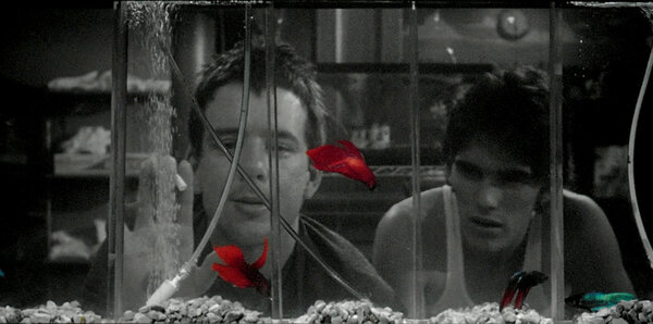 Photogramme de "Rumble Fish" - © Cinema International Corporation