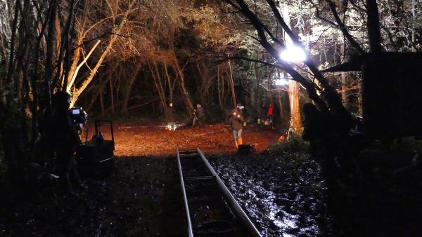Nuit en forêt - Photo Léo Stritt
