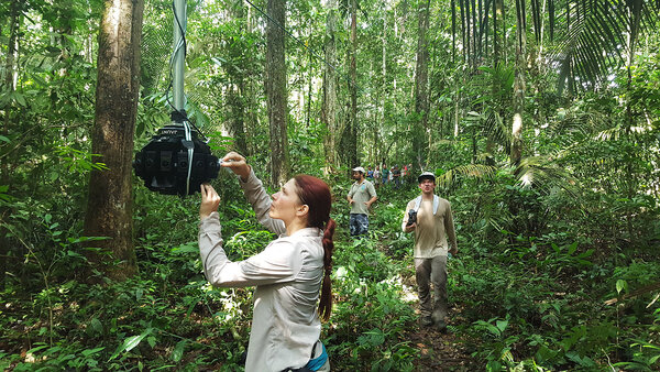 Céline Tricart sur le tournage de "Sous la canopée"