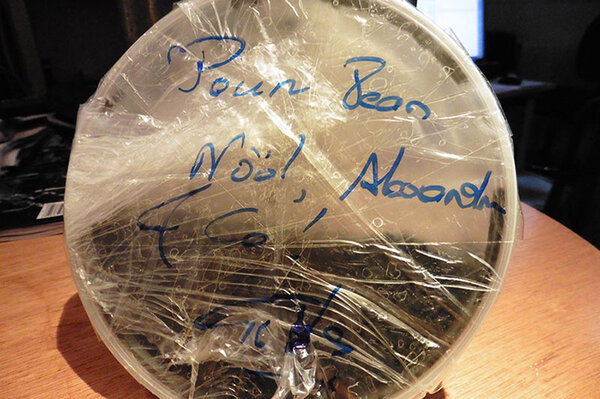 Caviar de Pâques ! - Je laisse une petite boite de Caviar à l'intention de Jean-Noël et Alexandre qui s'occupent de mettre en ligne ce blog au sein de l'AFC… <br class='manualbr' />« Bonjour Alexandre, <br class='manualbr' />Hier dimanche, surprise, ce ne sont pas les cloches de Pâques qui sont revenues de Rome avec des œufs en chocolat mais un visiteur frappant à la vitrine de l'AFC... Gilles en personne, de passage à Paris avant de repartir en Sibérie, avec quelques grammes de caviar qu'il s'est empressé de déposer au réfrigérateur à notre intention ! Il te faudra donc passer au plus vite partager ces quelques cuillerées en trinquant à sa santé et à celle de sa charmante assistante, Anne-Angèle, qui me mâche bien le travail en redimenssionnant les images ! A bientôt, Jean-Noël » <i>(Photo Jean-Noël Ferragut, mercredi 8 avril)</i>