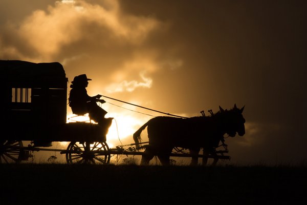 Le directeur de la photographie Rodrigo Prieto, ASC, AMC, parle de son travail sur "The Homesman", de Tommy Lee Jones Un western dense et minimaliste