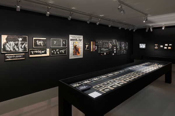 Une des salles de l'exposition - Photo NMNM