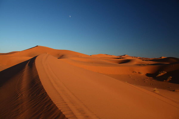 Dune of the desert of Erfoud