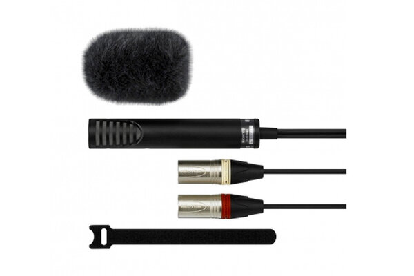 Micro-canon Sony ECM-MS2