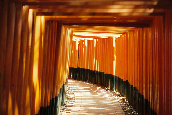 Le orange - Photos en argentique dans le temple de Fushimi Inari-Taisha