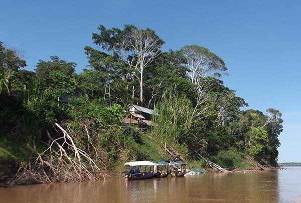 "Menace sur la forêt tropicale au Pérou" : un documentaire signé Jérôme Dolbert