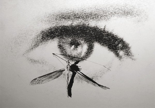 Exposition photographique de Robert Alazraki, AFC