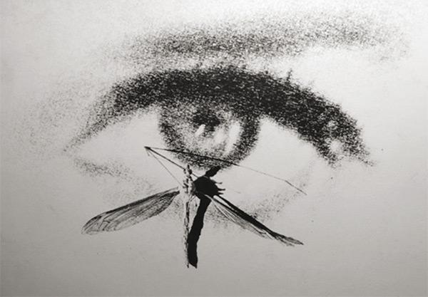 Exposition photographique de Robert Alazraki, AFC