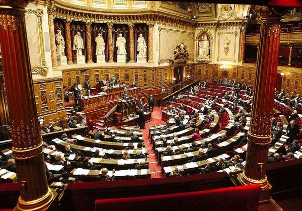 Intermittents : des sénateurs veulent rétablir la "date anniversaire"