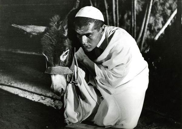 Omar Sharif - Collection Cinémathèque française