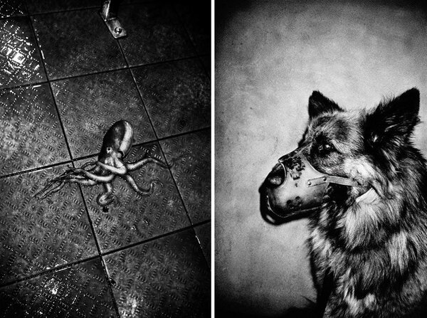 Deux photographies d'Anders Petersen