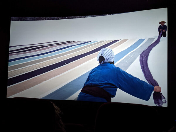 Une photographie de la projection du documentaire "Under Snow", d'Ulrike Ottinger - Photo Antoine Pirotte