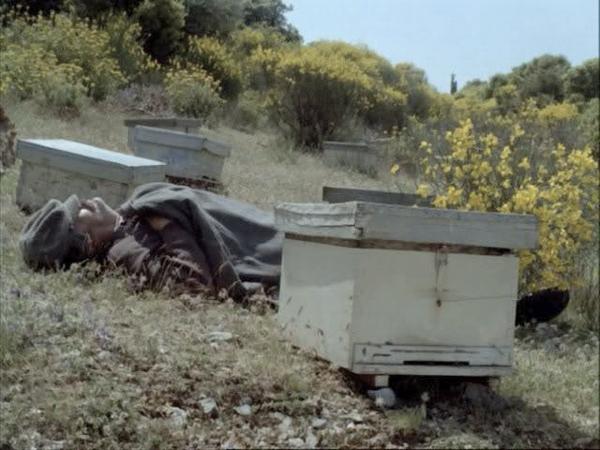 "L'Apiculteur", projeté au Ciné-club de l'Ecole Louis-Lumière