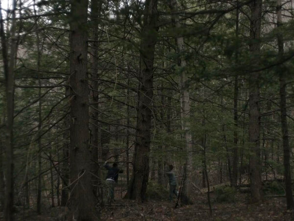 "Brothers" (Robert Eggers, 2014)