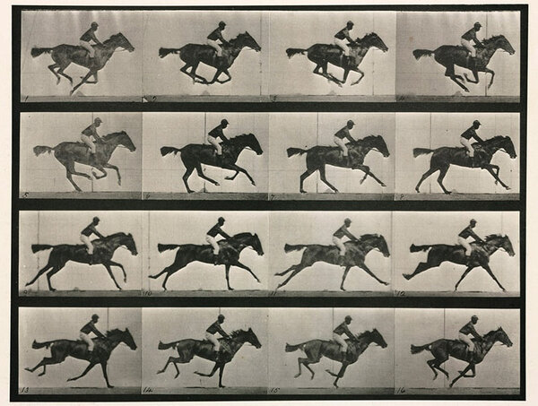 Eadweard Muybridge, "Cheval au galop", 1878