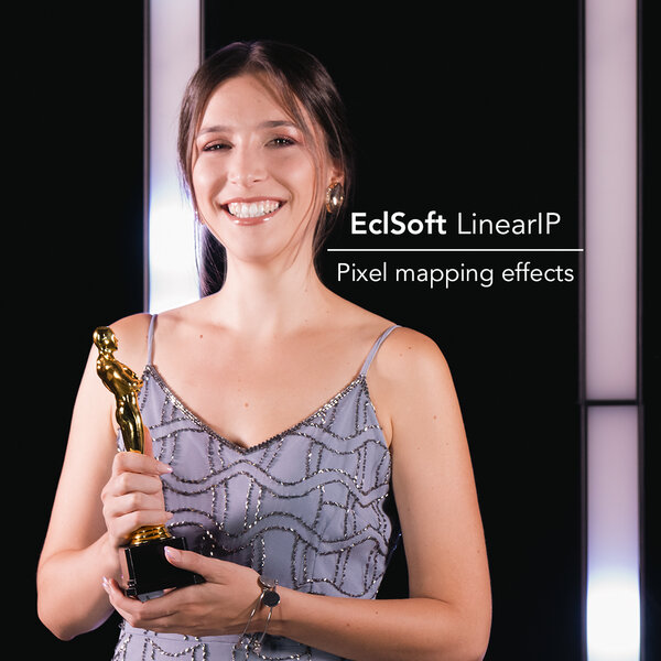 EclSoft LinearIP en action