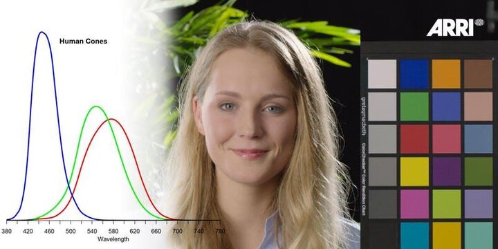 Formation pratique certifiée Arri en Science des Couleurs
