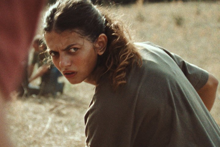 Antoine Cormier talks about the making of Julien Colona's film "Le Royaume" By Brigitte Barbier for the l'AFC