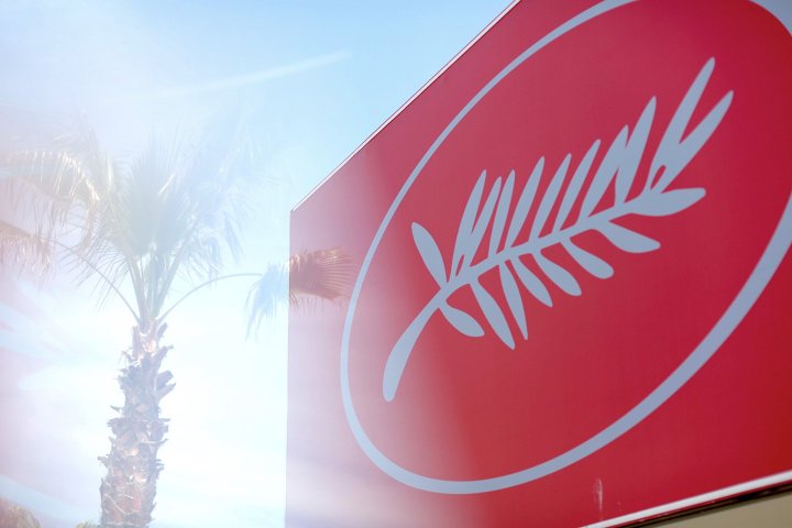 Le portfolio du lundi 19 mai