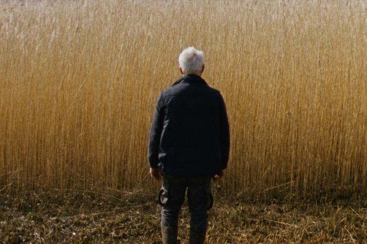 Sam du Pon, NSC, revient sur ses choix techniques pour mettre en images "Rietland", de Sven Bresser "La vie de Johan", par François Reumont pour l'AFC