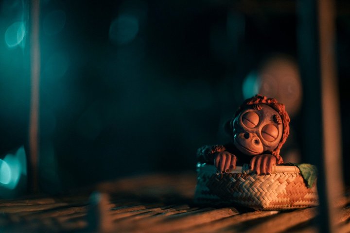 Simon Filliot nous explique les enjeux d'un tournage en stop-motion à propos de "Sauvages", de Claude Barras Par Margot Cavret pour l'AFC