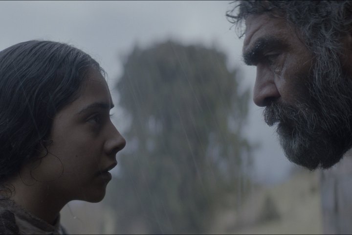 María Secco, AMC, looks back on the challenges faced during the filming of Christopher Murray's "Brujeria" "Island of birds and dogs", by François Reumont for the AFC