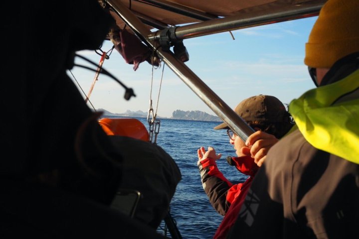 Les derniers tournages de Bluearth Studio en mer et en piscine